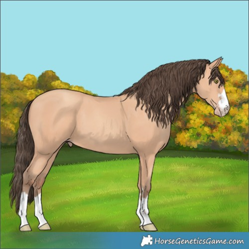 Horse Color:Amber Champagne 