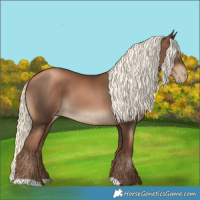 Horse Color:Gray Liver Chestnut Pearl Mushroom 