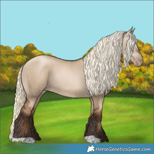 Horse Color:Gray Liver Red Dun Pearl Mushroom Rabicano