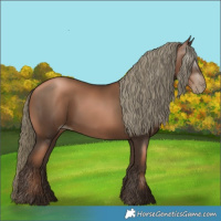 Horse Color:Gray Liver Chestnut Pearl Mushroom