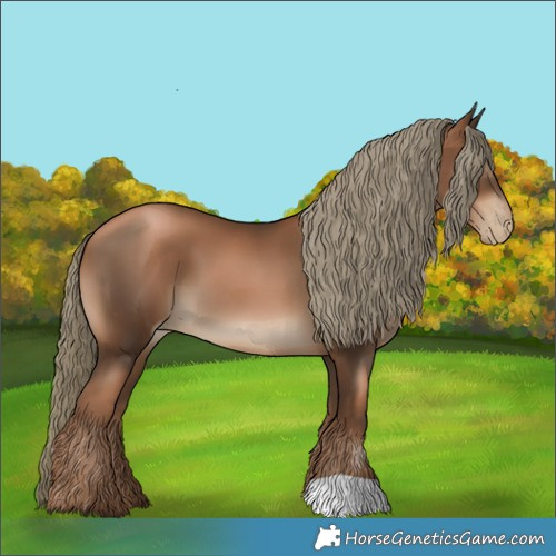 Horse Color:Gray Liver Chestnut Pearl Mushroom