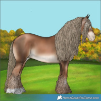 Horse Color:Gray Liver Chestnut Pearl Mushroom