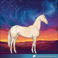Horse Color:Palomino Blanket 