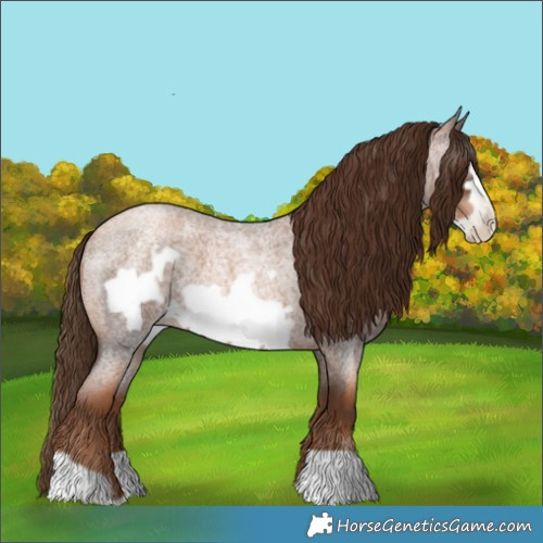 Horse Color:Gray Liver Red Roan Pearl Frame