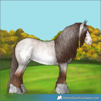 Horse Color:Gray Liver Red Roan Pearl Frame 