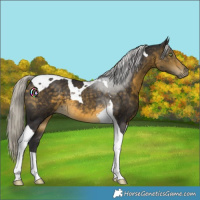 Horse Color:Silver Buckskin Tobiano 