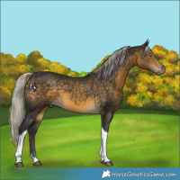 Horse Color:Silver Buckskin Tobiano 
