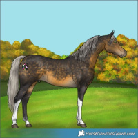Horse Color:Silver Buckskin Tobiano 