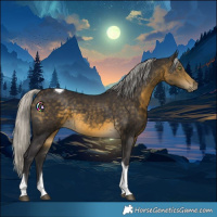 Horse Color:Silver Buckskin Tobiano 