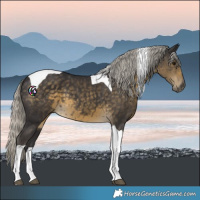 Horse Color:Silver Smoky Black Tobiano 