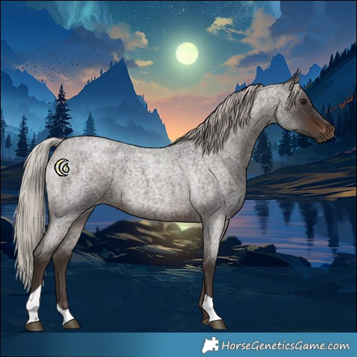 Horse Color:Silver Brown Roan Tobiano 