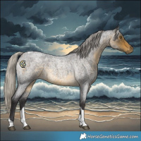 Horse Color:Silver Buckskin Roan Tobiano 