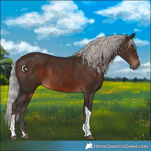 Horse Color:Silver Brown Tobiano 
