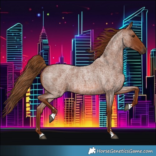 Horse Color:Red Roan 