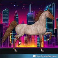 Horse Color:Red Roan 