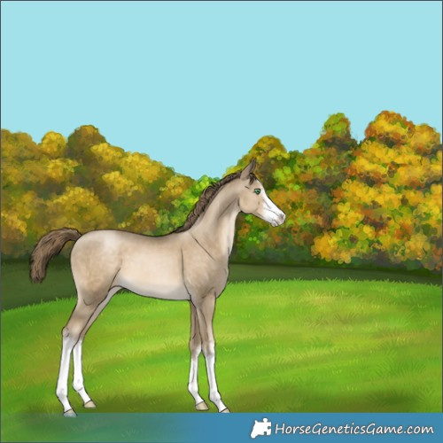 Horse Color:White Spotted Smoky Black Pearl 
