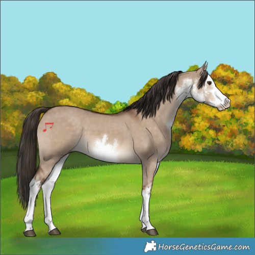 Horse Color:White Spotted Liver Red Dun 