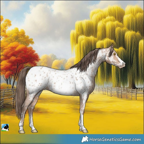 Horse Color:Amber Champagne Sabino Tobiano Appaloosa  and Amber Champagne Sabino Tobiano Frame Appaloosa 
