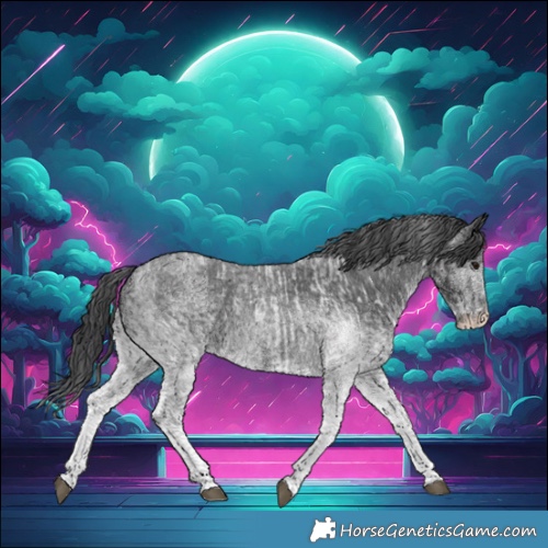 Horse Color:White Spotted Blue Roan Rabicano  and White Spotted Blue Roan Rabicano 