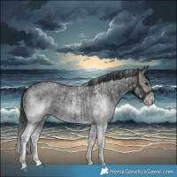 Horse Color:White Spotted Blue Roan Rabicano  and White Spotted Blue Roan Rabicano 