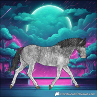 Horse Color:White Spotted Blue Roan Rabicano and White Spotted Blue Roan Rabicano