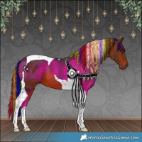 Horse Color:Painted Bay Tobiano