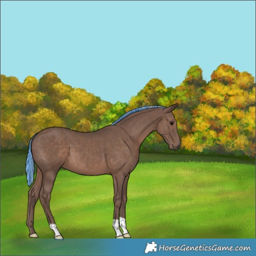 Horse Color:Painted Silver Black 