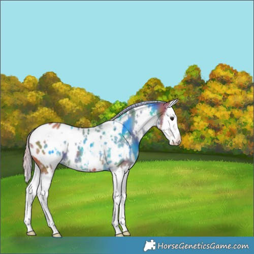 Horse Color:Nacre White Spotted Silver Bay Splash Appaloosa 