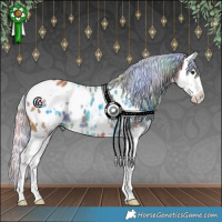 Horse Color:Nacre White Spotted Silver Bay Splash Appaloosa