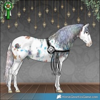 Horse Color:Nacre White Spotted Silver Bay Splash Appaloosa 