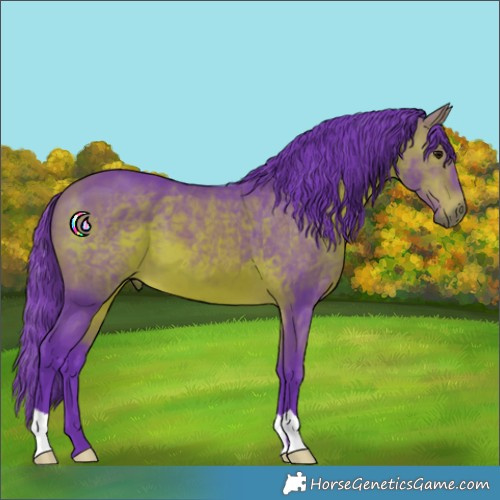 Horse Color:Watercolor Bay 