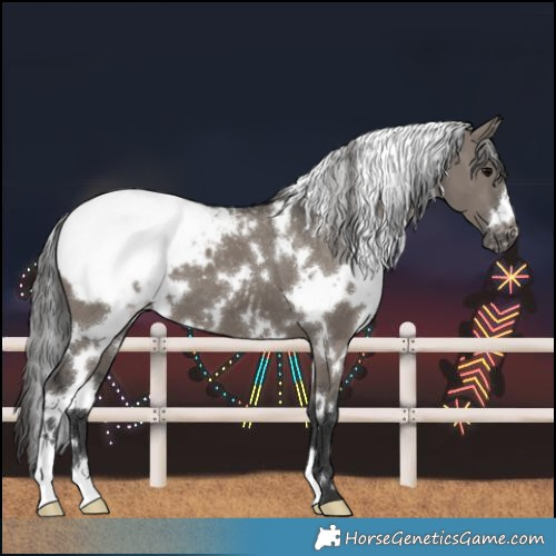 Horse Color:White Spotted Grullo Snowcap 
