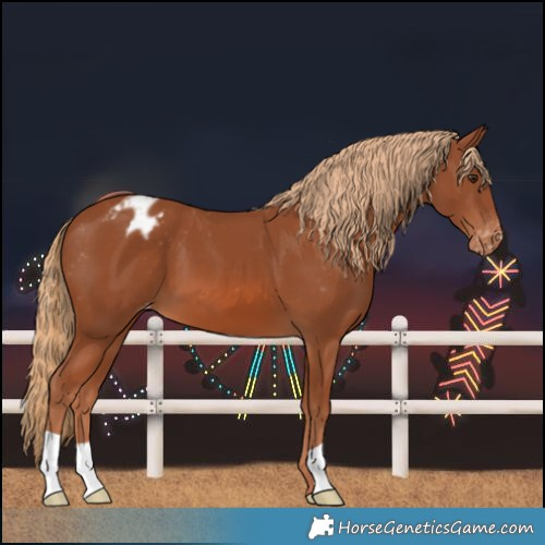 Horse Color:Chestnut Varnish 