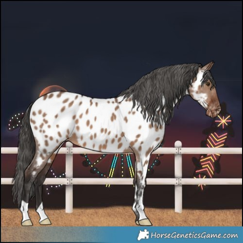 Horse Color:Liver Red Dun Near Leopard 