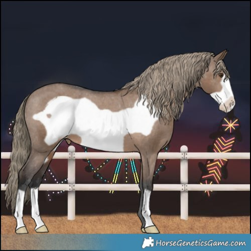 Horse Color:Liver Red Dun Frame Varnish 