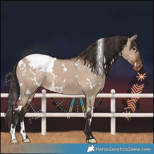 Horse Color:White Spotted Liver Red Dun Varnish 