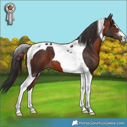 Horse Color:Bay Tobiano 