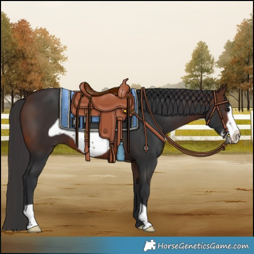 Horse Color:Brown Frame 