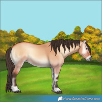Horse Color:Bay Onyx 