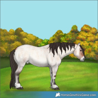 Horse Color:Bay Roan Onyx 