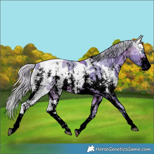 Horse Color:Void Watercolor Silver Brown Dun Merle Sabino Rabicano 