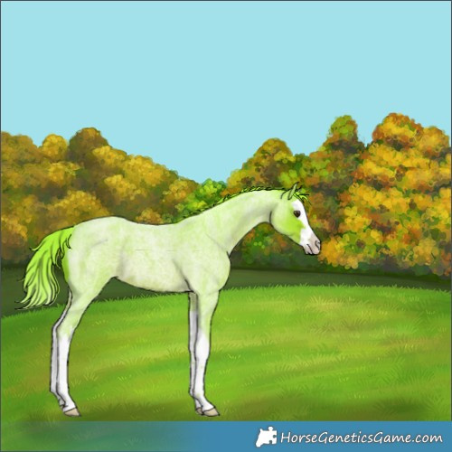 Horse Color:Watercolor Liver Red Roan Splash 