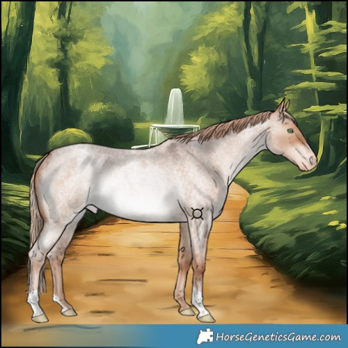 Horse Color:Red Dun Roan Appaloosa Rabicano 