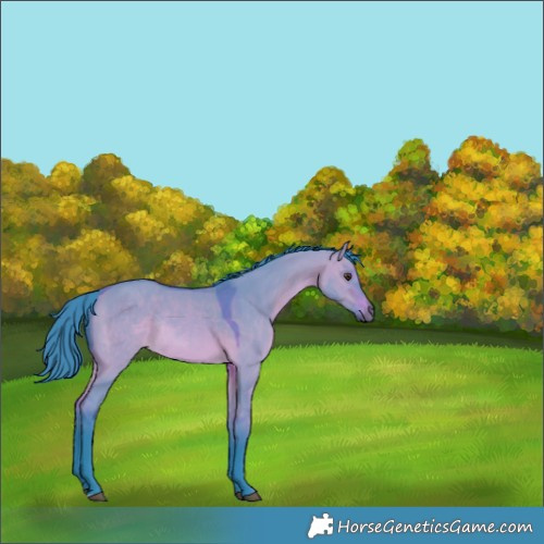 Horse Color:Watercolor Bay Dun Rabicano 