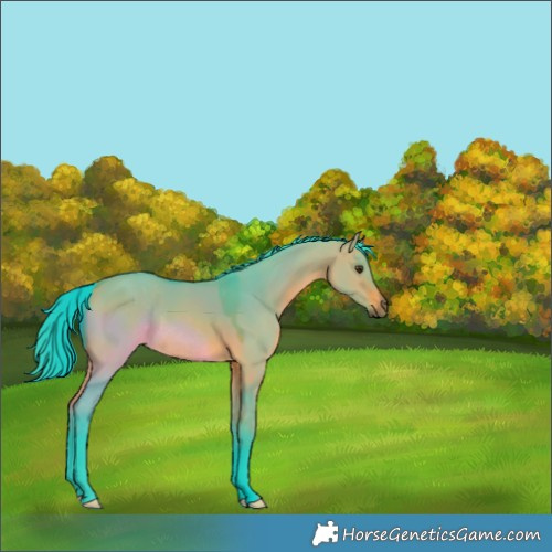 Horse Color:Watercolor Bay Dun Rabicano 