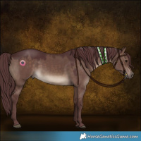 Horse Color:Chocolate Brown Dun 
