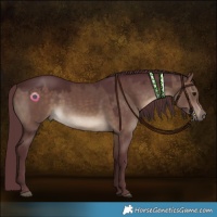 Horse Color:Chocolate Brown Dun