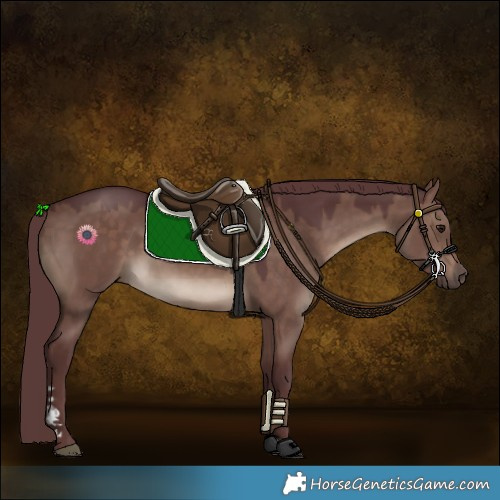 Horse Color:Chocolate Brown Dun