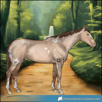 Horse Color:White Spotted Brown Pearl Dun Sabino Rabicano 