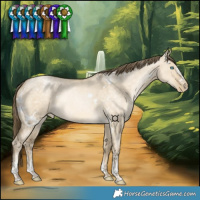 Horse Color:White Spotted Brown Snowdrop Pearl Dun Sabino Rabicano 